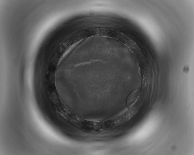 X0000099290383200805231326