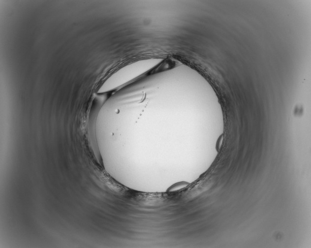 X0000099290384200805231326