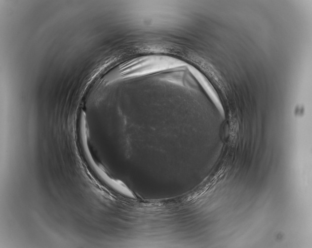 X0000099290386200805231325