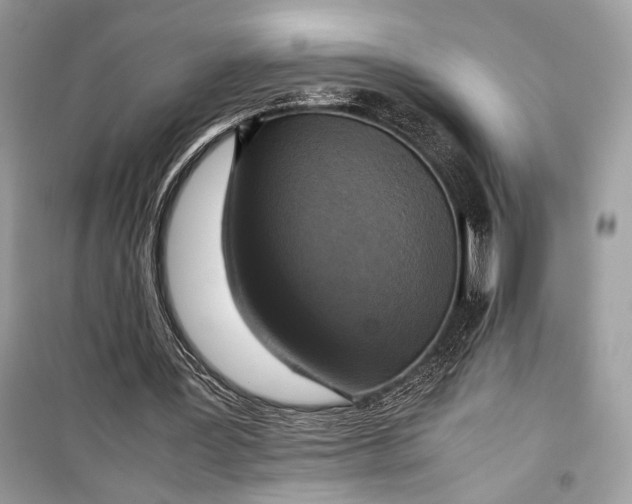 X0000099290387200805231325