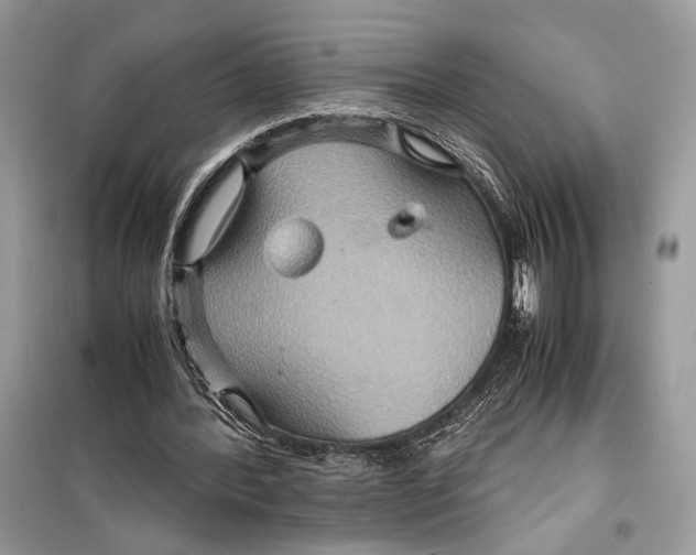 X0000099290388200805231325