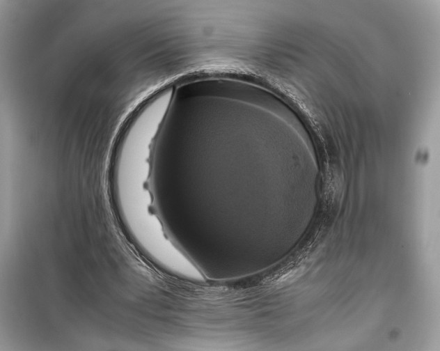 X0000099290391200805231325