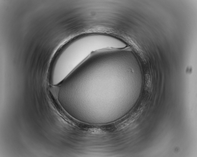 X0000099290392200805231325