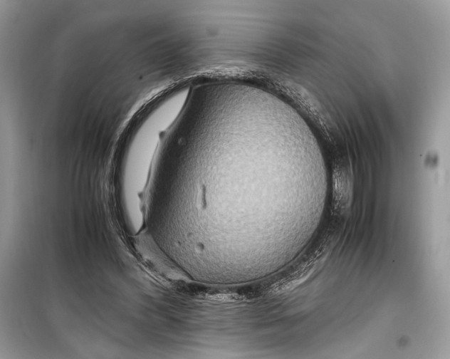 X0000099290396200805231325