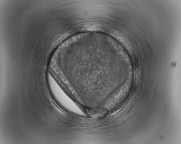 X0000099290397200805231325