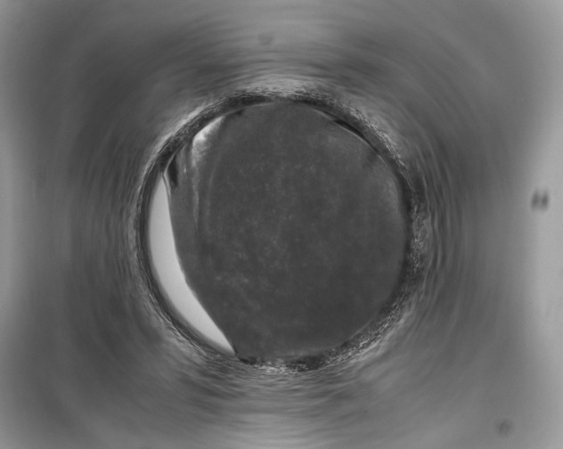 X0000099290399200805231325