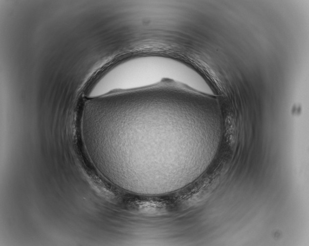 X0000099290400200805231325