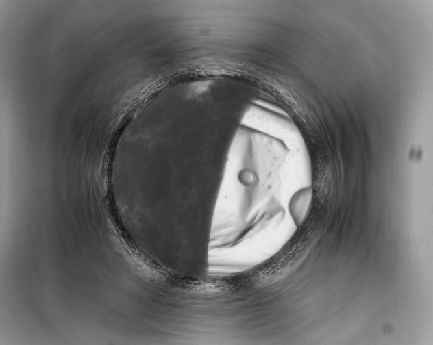 X0000099290402200805231325