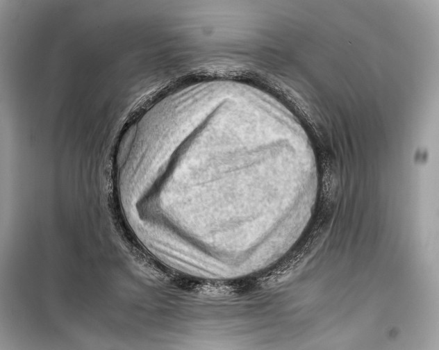 X0000099290403200805231325