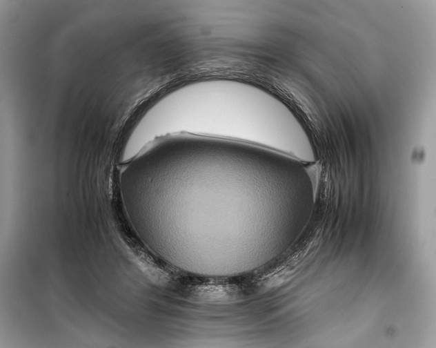 X0000099290404200805231325