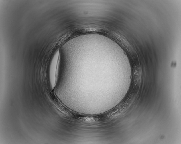 X0000099290406200805231325