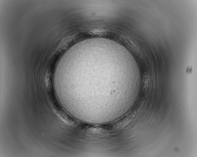 X0000099290408200805231325