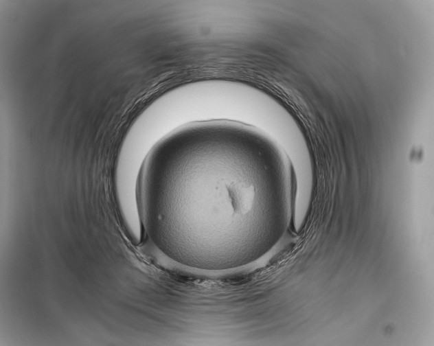 X0000099290409200805231325