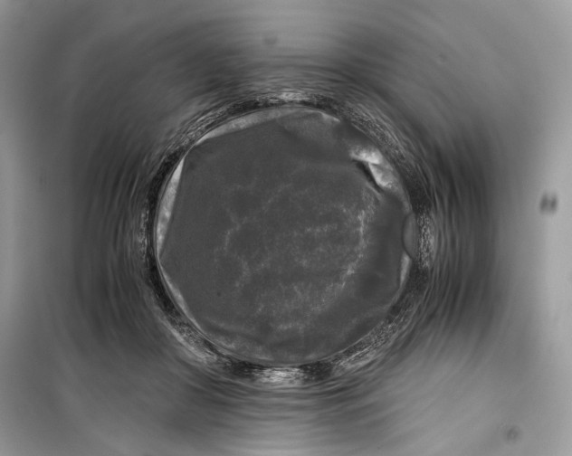 X0000099290410200805231325