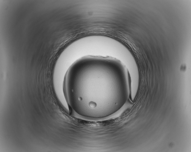 X0000099290411200805231325