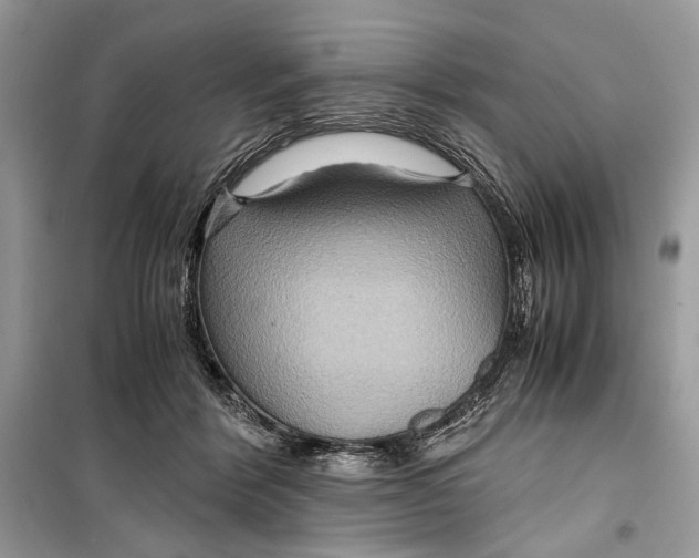 X0000099290412200805231325