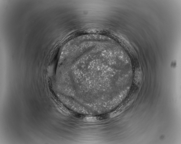 X0000099290413200805231325