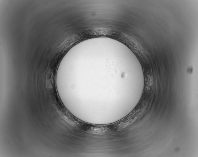 X0000099290414200805231325