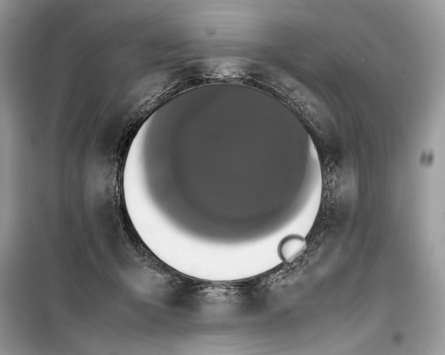 X0000099290415200805231325