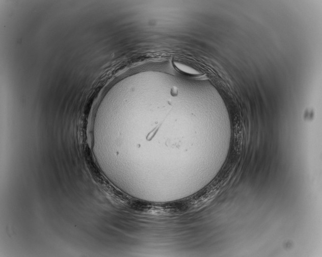 X0000099290416200805231325