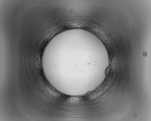 X0000099290418200805231325