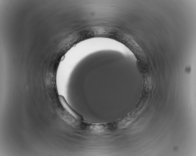 X0000099290419200805231325