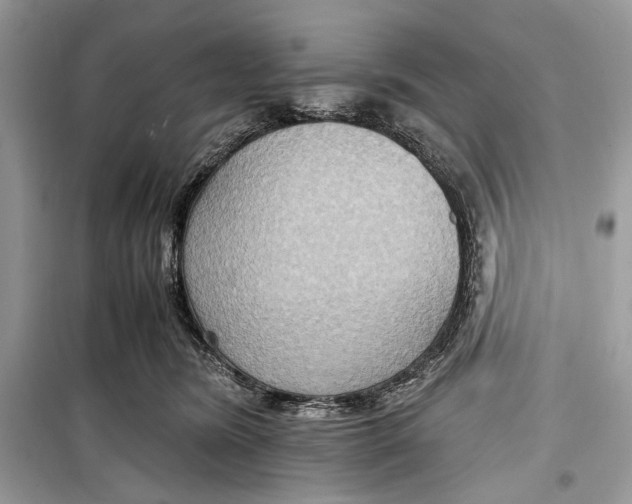 X0000099290420200805231325