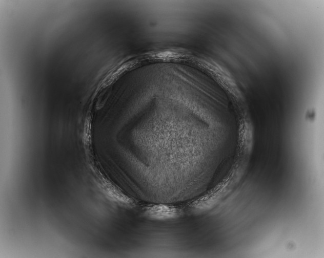 X0000099290421200805231325