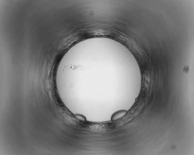 X0000099290422200805231325