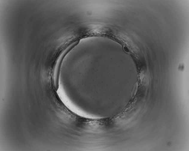 X0000099290423200805231325