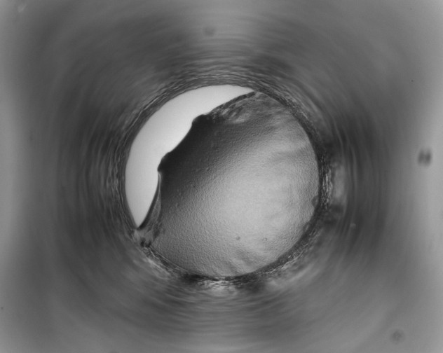 X0000099290424200805231325