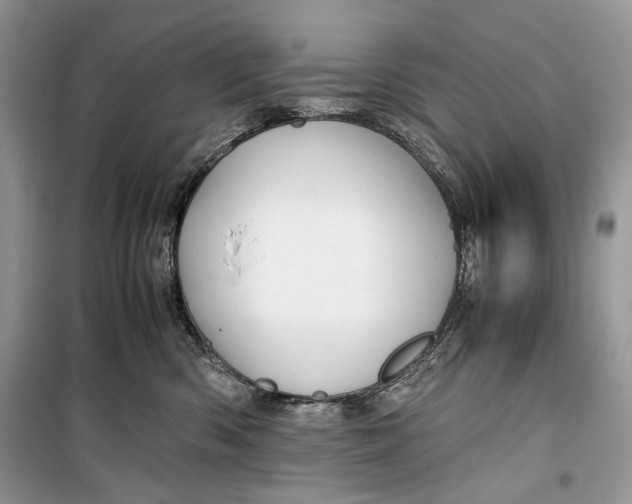 X0000099290426200805231325