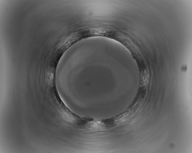 X0000099290427200805231325