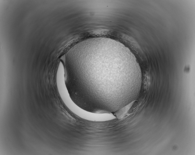 X0000099290428200805231325