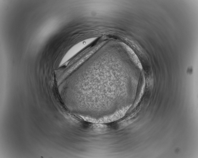 X0000099290429200805231325