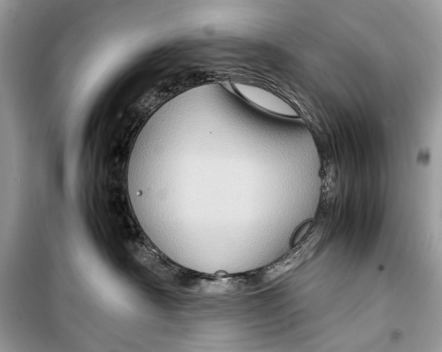 X0000099290430200805231325