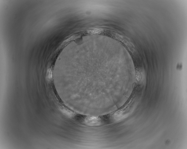 X0000099290431200805231324