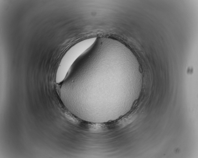 X0000099290432200805231324