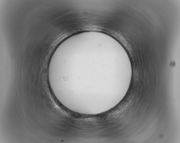 X0000099290433200805231324