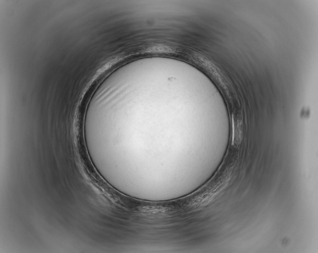 X0000099290435200805231324