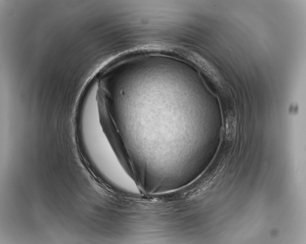 X0000099290436200805231324