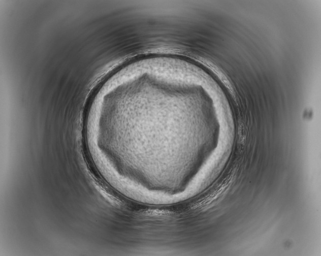 X0000099290437200805231324