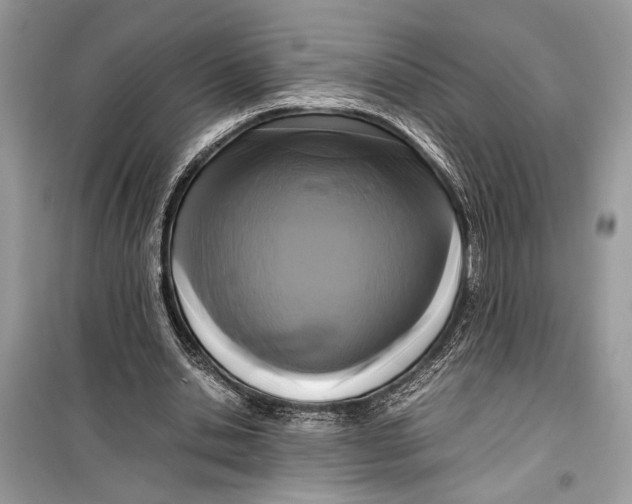 X0000099290438200805231324