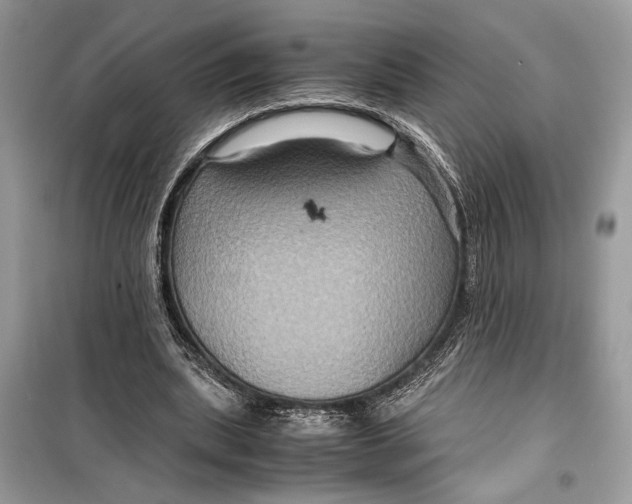 X0000099290439200805231324