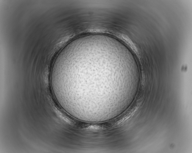 X0000099290441200805231324