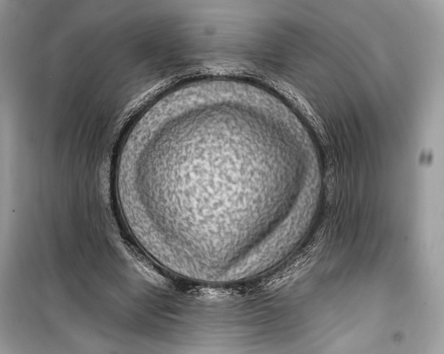 X0000099290442200805231324