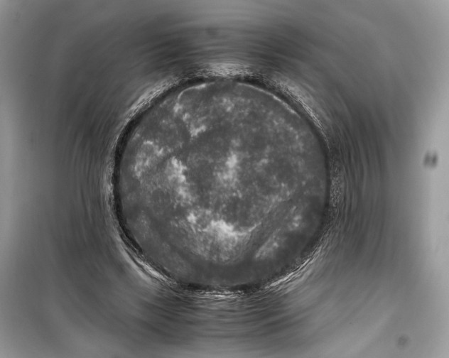 X0000099290443200805231324