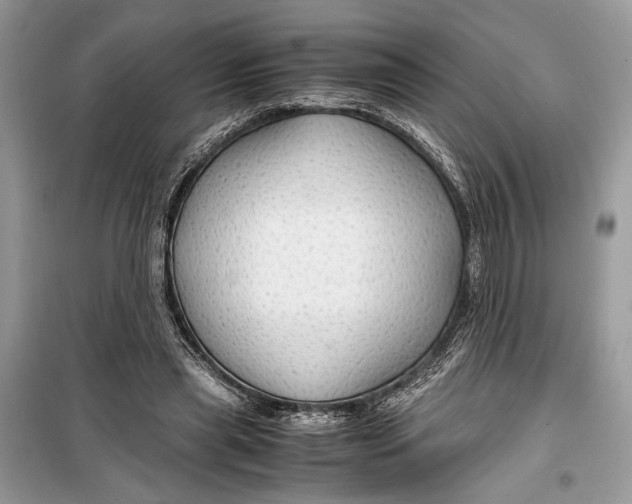 X0000099290445200805231324