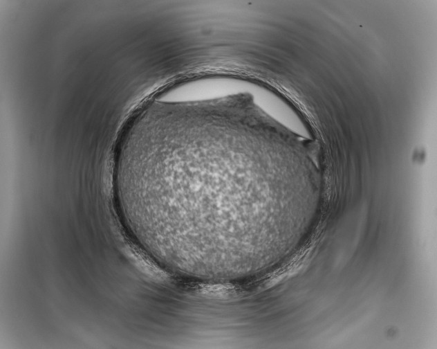 X0000099290446200805231324