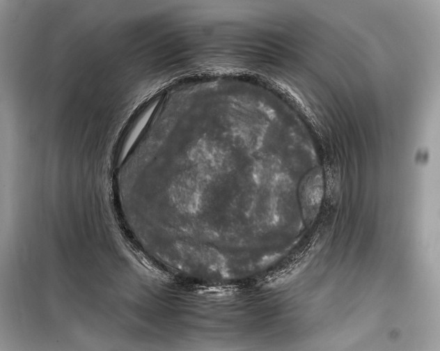 X0000099290447200805231324